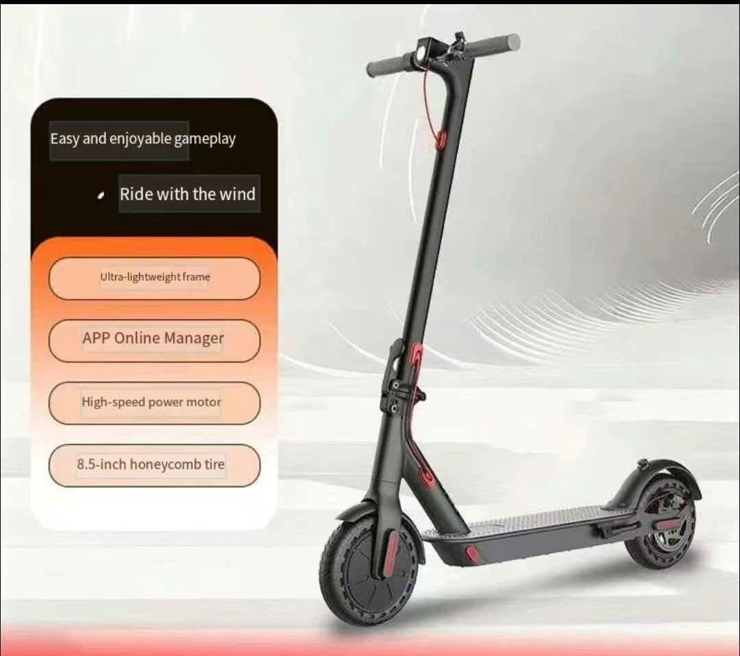 RYDES01 Long-Range Electric Scooter — product image 3