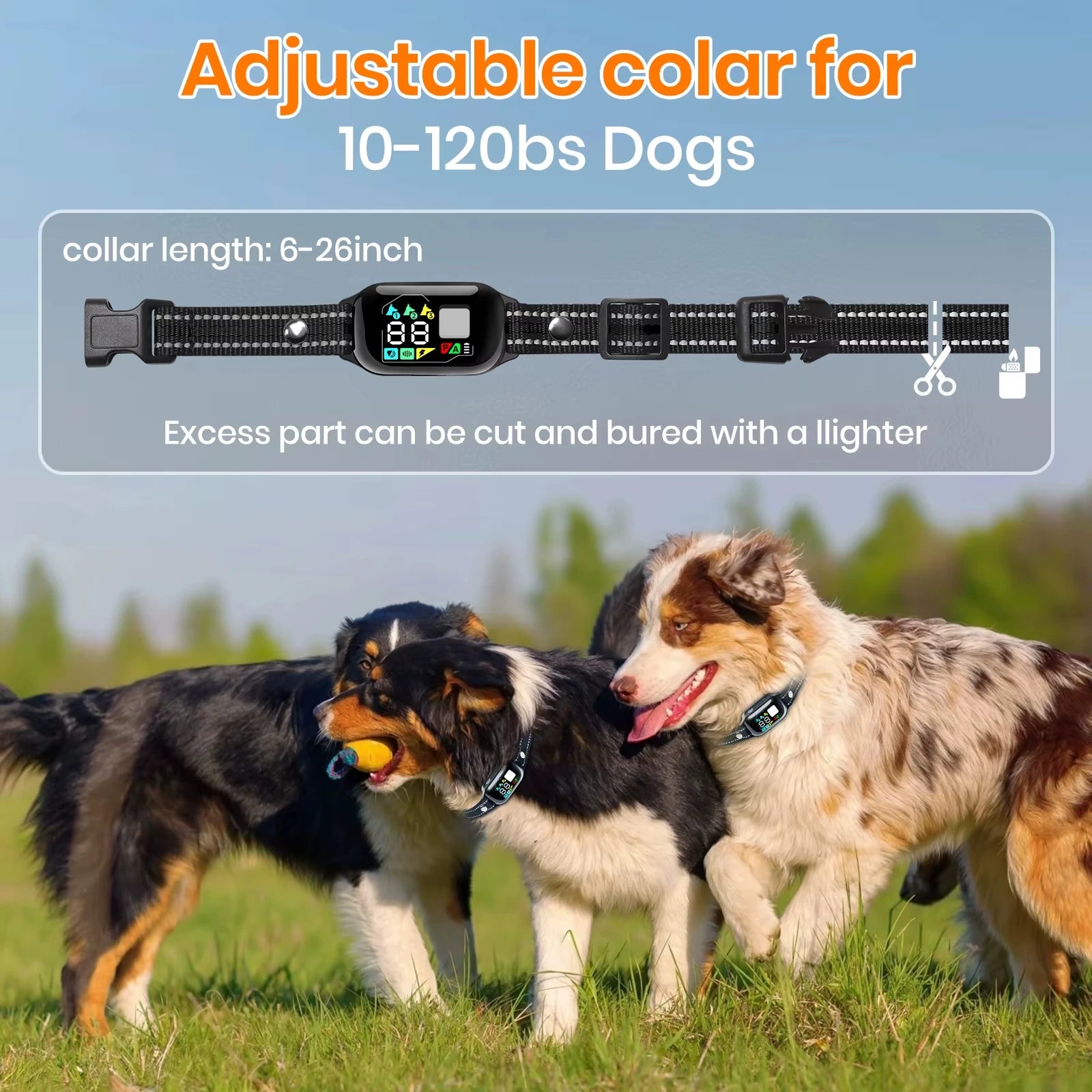 Dog Training Collar — 1000 m Range, IPX7 Waterproof, 1 or 2 Dogs — product image 6