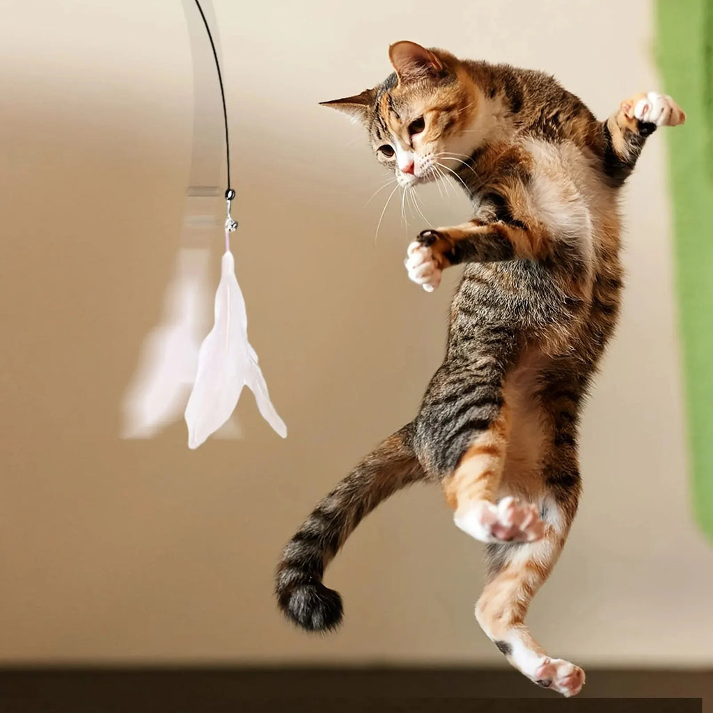 Cat Teaser Wand — Feather & Bell, Suction Cup Pole — product image 6