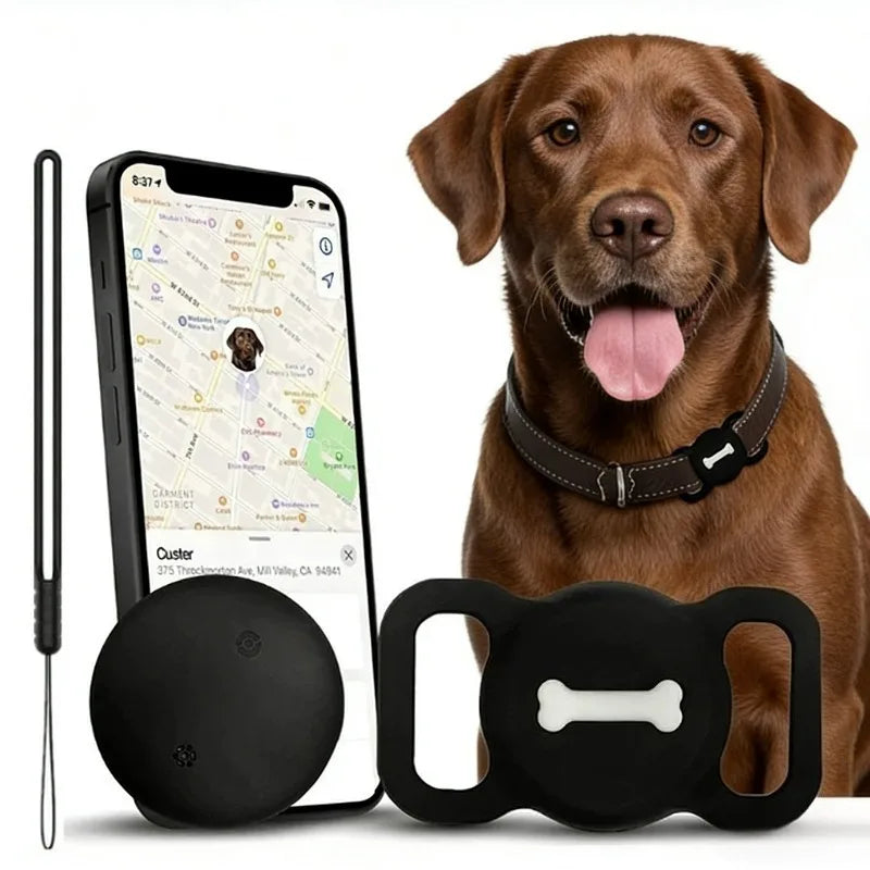 Bluetooth anti-lost tracking tags for keys, bags and pet collars